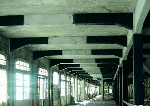 ehz_110_vig_cort