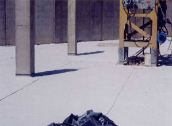 nis_basf_bent